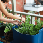 Urban Gardening